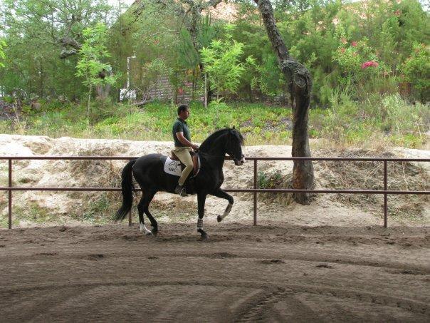 Coudelaria Vale Pau Villa Coruche Cameră foto